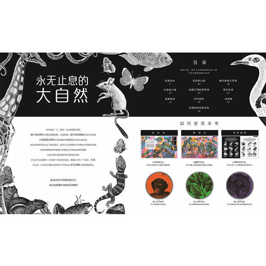 【科普百科 [3-15岁]】点亮自然 商品图3