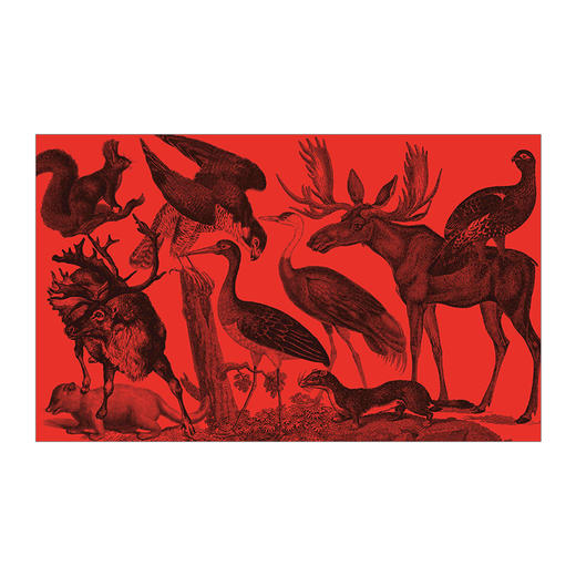 【科普百科 [3-15岁]】点亮自然 商品图12