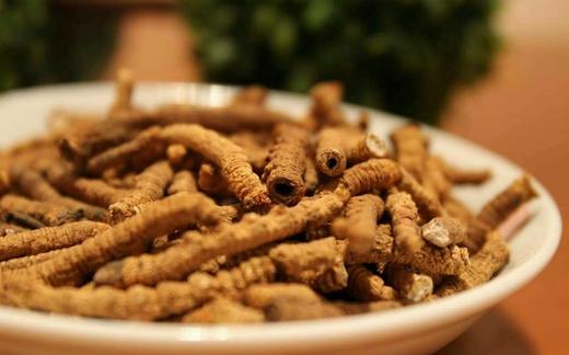 断枝虫草-断支虫草1g/袋，月用装（30袋）。零售价8980，爱心价4980 另送：虫草伴侣包30袋（3克西洋参、5克红枸杞/袋） 商品图3