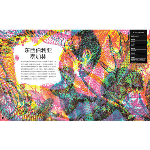 【科普百科 [3-15岁]】点亮自然 商品图4