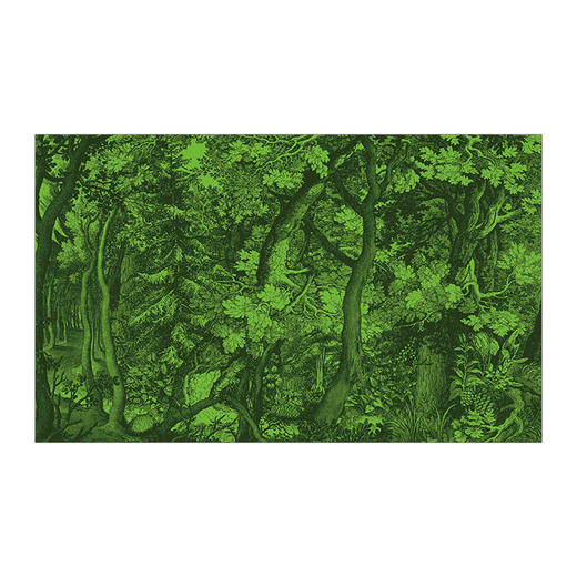 【科普百科 [3-15岁]】点亮自然 商品图7