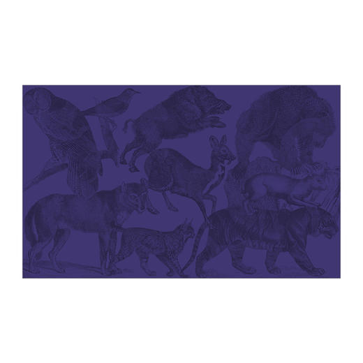 【科普百科 [3-15岁]】点亮自然 商品图6