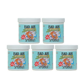 白宫御用：美国Bad Air Sponge 空气净化剂400g*5罐