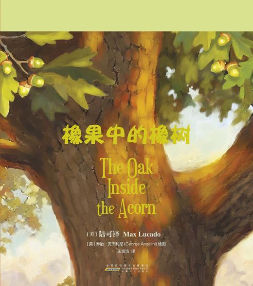 你很特别系列之----橡果中的橡树 商品图1