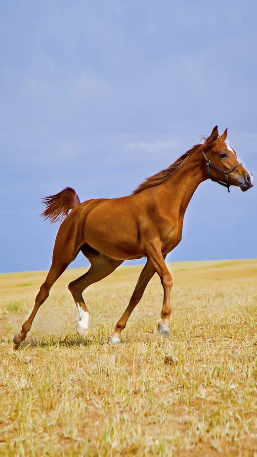 测试君君2批改 商品图0