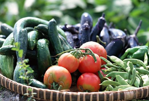 自产蔬菜包 商品图4