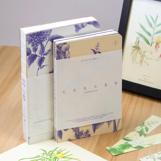 又自在又美丽套装用植物记录流年岁月中国最美的书