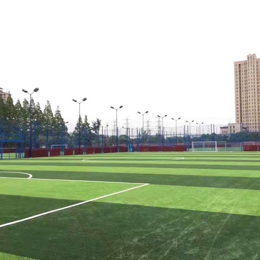 上海琦逸足球公园8人制6月17号星期六20002200