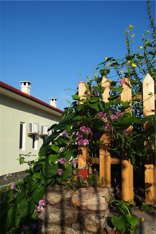 净田社客房预定-----咨询电话/微信：13911456276（张姗姗） 商品图7