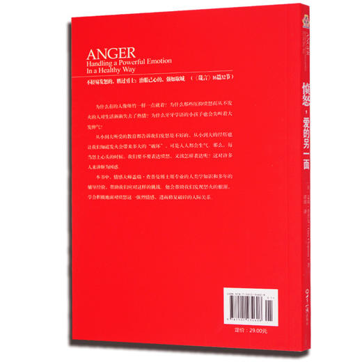 愤怒，爱的另一面 商品图1