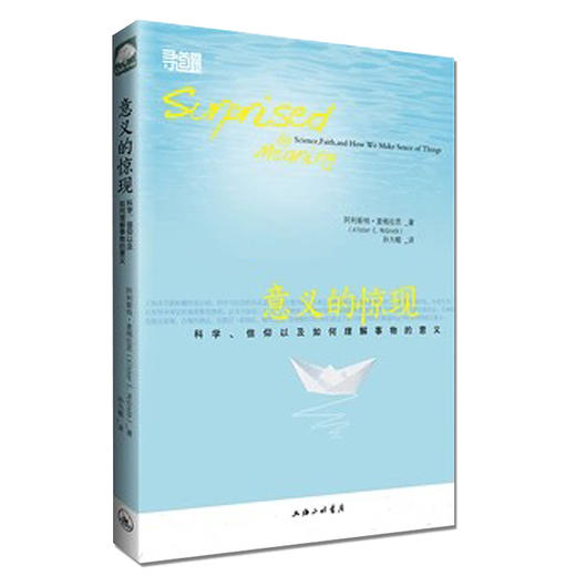 《意义的惊现》 商品图0