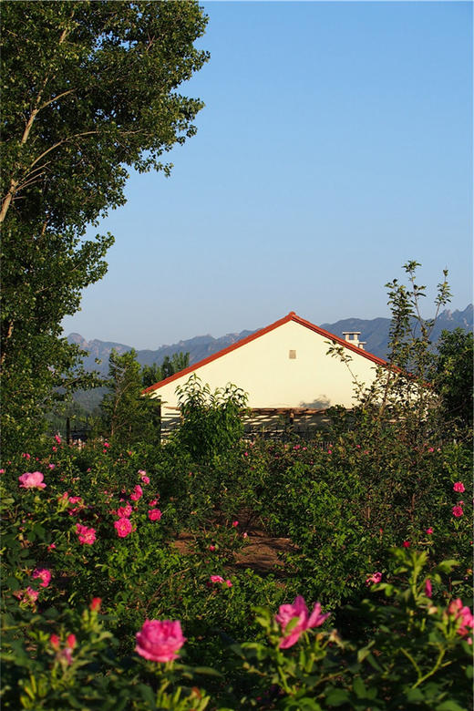 净田社客房预定-----咨询电话/微信：13911456276（张姗姗） 商品图1