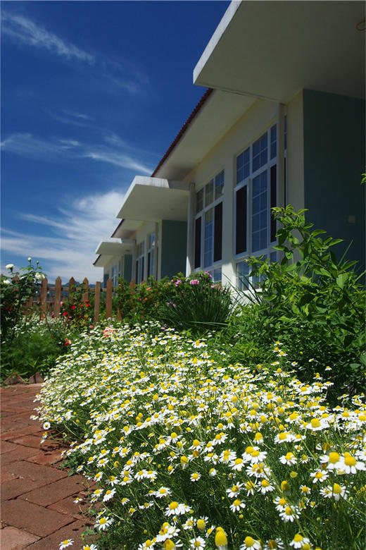 净田社客房预定-----咨询电话/微信：13911456276（张姗姗） 商品图5