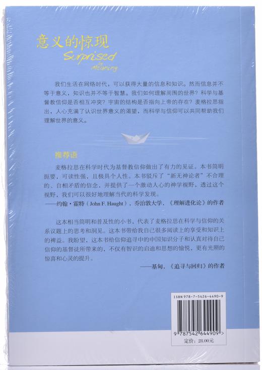 《意义的惊现》 商品图3