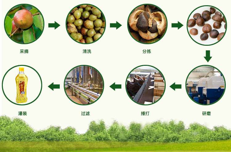 茶籽油的销售渠道