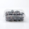 喇叭花125g蓝莓盒水果一次性透明樱桃草莓包装塑料加厚桑果盒100个 商品缩略图4