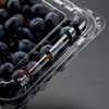 喇叭花125g蓝莓盒水果一次性透明樱桃草莓包装塑料加厚桑果盒100个 商品缩略图6