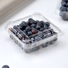 喇叭花125g蓝莓盒水果一次性透明樱桃草莓包装塑料加厚桑果盒100个 商品缩略图3