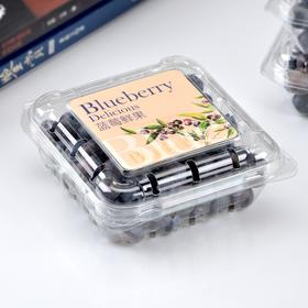喇叭花125g蓝莓盒水果一次性透明樱桃草莓包装塑料加厚桑果盒100个