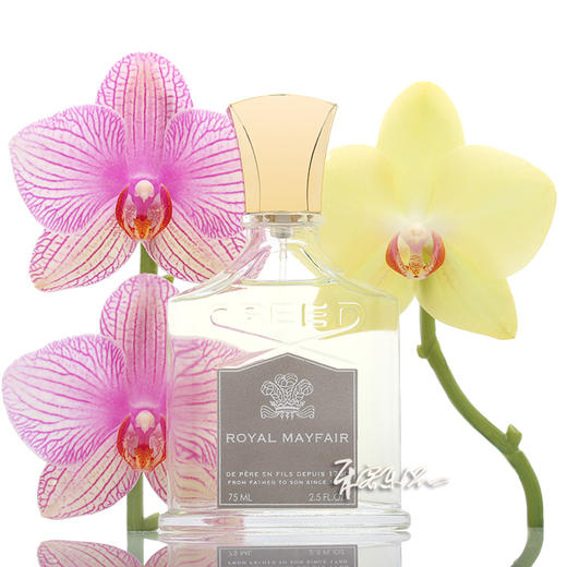 Creed恺芮得 皇家梅菲尔香水Royal Mayfair  小样/正装 商品图0