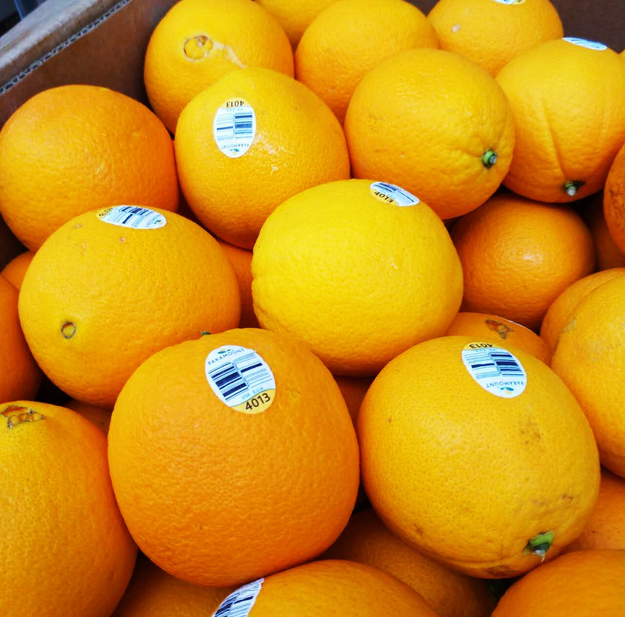 新奇士金标4013纯甜化渣无籽出汁率高橙香浓郁