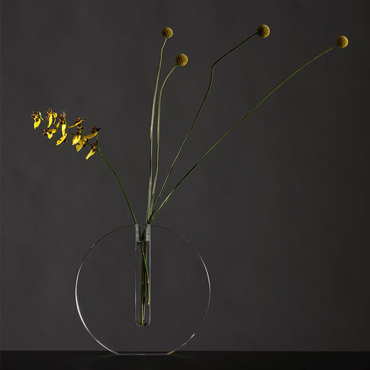 哲品 水中月欧式透明亚克力花器 客厅创意干花插花仿玻璃花器摆件 商品图1