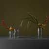 哲品家居 镜花圆系列花器简约现代插花摆件玻璃花瓶创意客厅装饰 商品缩略图0