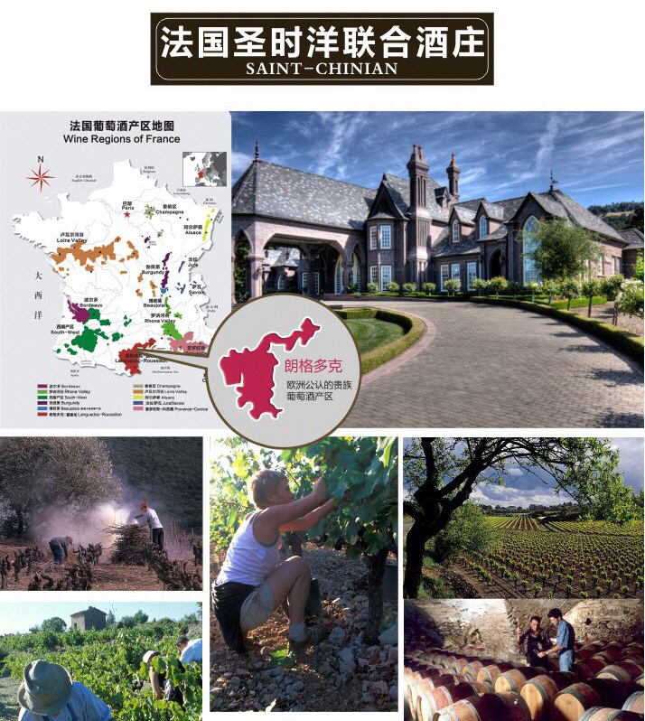 海外精选欧拉ola法国原装进口2014干红葡萄酒750ml