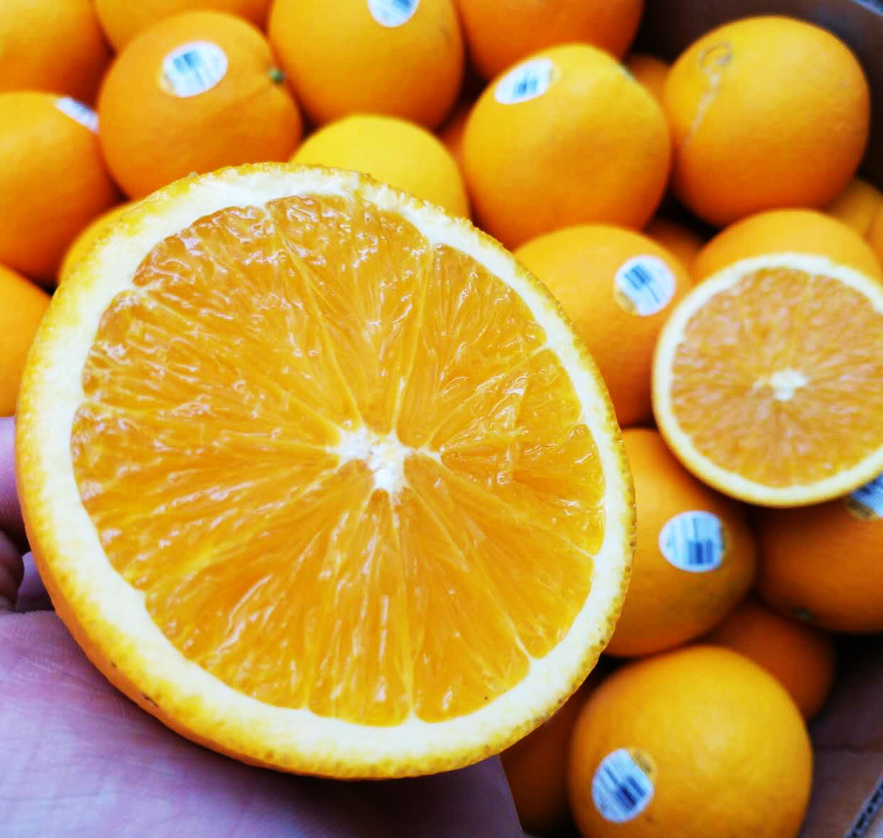 新奇士金标4013纯甜化渣无籽出汁率高橙香浓郁