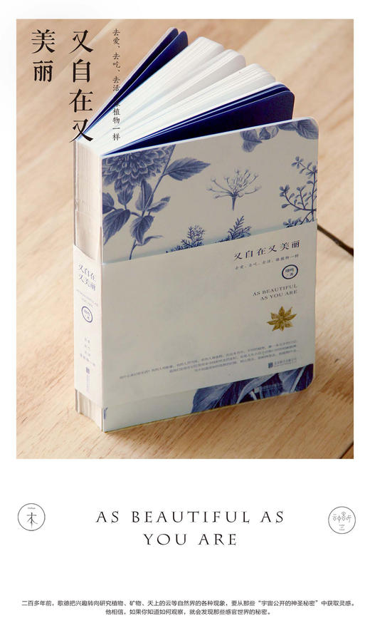 又自在又美丽（礼盒装） 商品图1