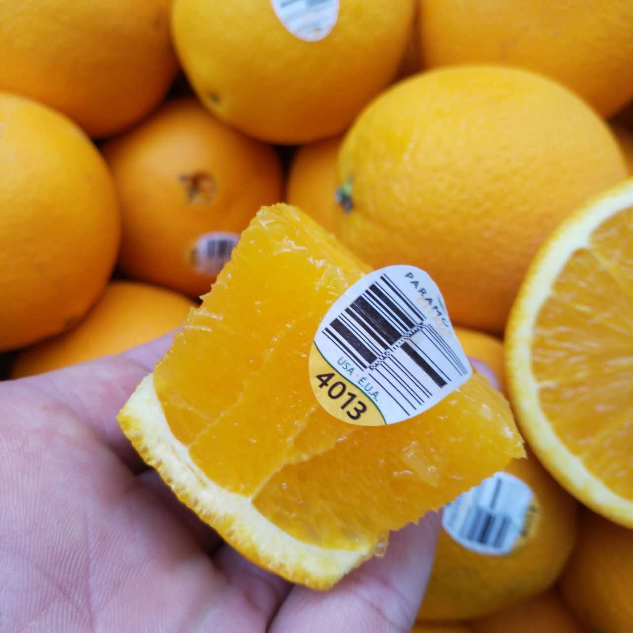 新奇士金标4013纯甜化渣无籽出汁率高橙香浓郁