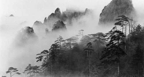 The Yellow Mountains of China/Wang Wusheng 商品图4