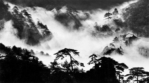 The Yellow Mountains of China/Wang Wusheng 商品图2