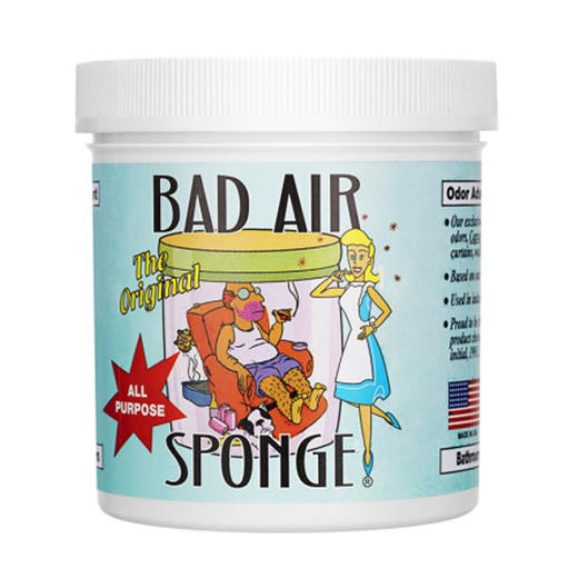 【香港直邮】 美国Bad Air Sponge空气净化剂白宫新房异味甲醛清除剂 400g 商品图4