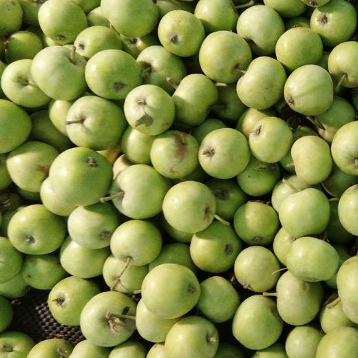 新鲜辽伏苹果