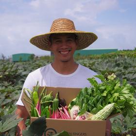 绿家自产 | 有机蔬菜9次体验份额（17年）