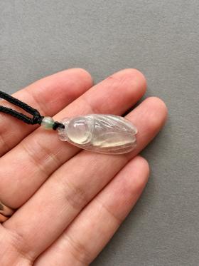 翡翠高冰种知了