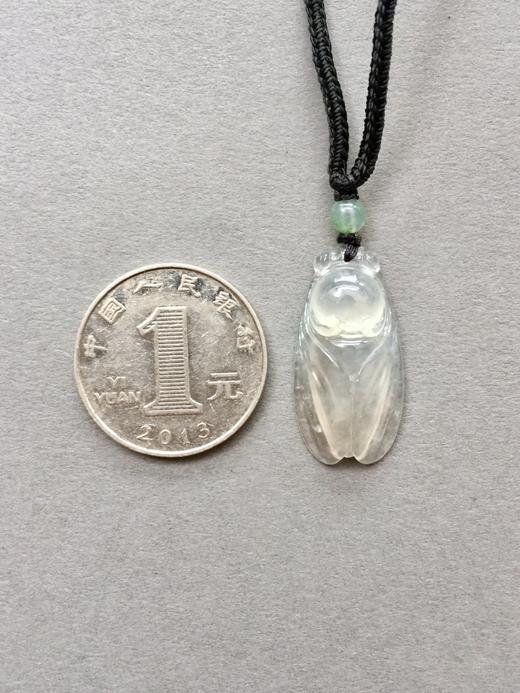 翡翠高冰种知了 商品图2