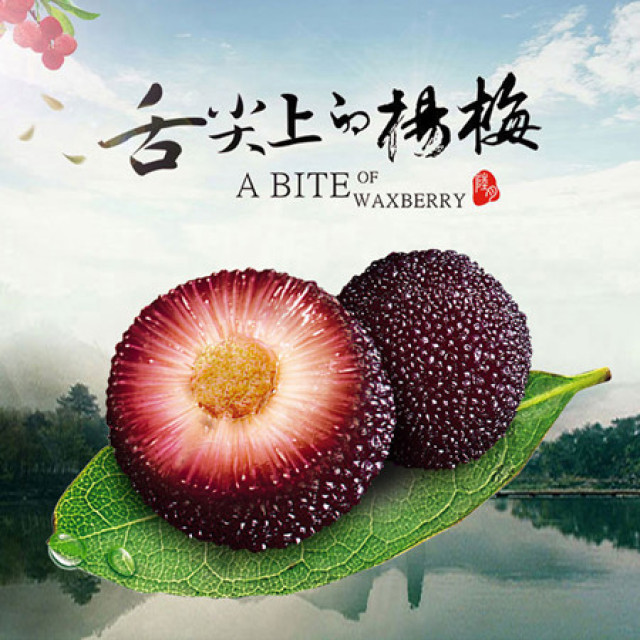 【仙居杨梅·东魁】颗颗精选大果,肉厚多汁甘甜微酸,不打农药绿色原