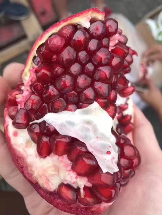 宏丰精选秘鲁红玛瑙石榴薄皮肉质鲜红颗粒饱满女性抗衰老水果