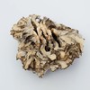 古田灰树菇250克/包   舞茸 肉脆味香 商品缩略图2