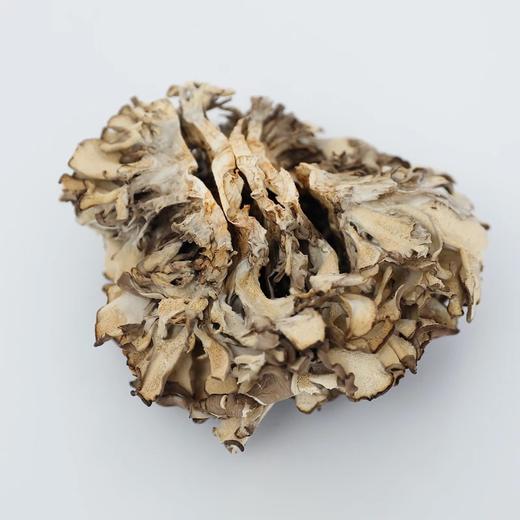 古田灰树菇250克/包   舞茸 肉脆味香 商品图2