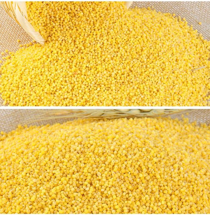 250g瑞和泰 散称 红谷小米 ±5g