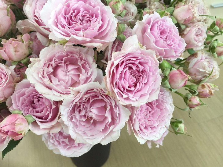 团购| 3人团,国产玫瑰:荔枝/小白兔/香香公主/香水女人,59.