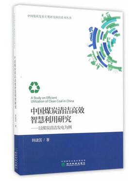 中国煤炭清洁高效智慧利用研究（特）