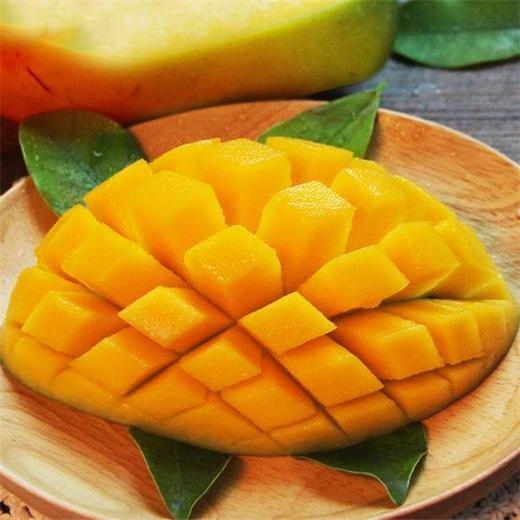 农产品国家地理标志保护产品来自中国芒果之乡四川攀枝花主产区盐边