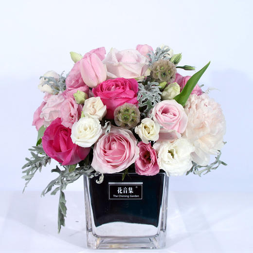 会议&amp;商务用方杯桌花 商品图0