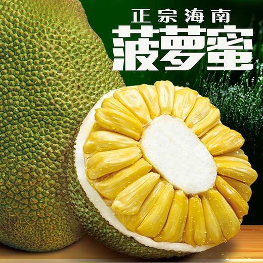 【京东】海南菠萝蜜热带水果现摘现发又香又甜15-29斤1个包邮 商品图1