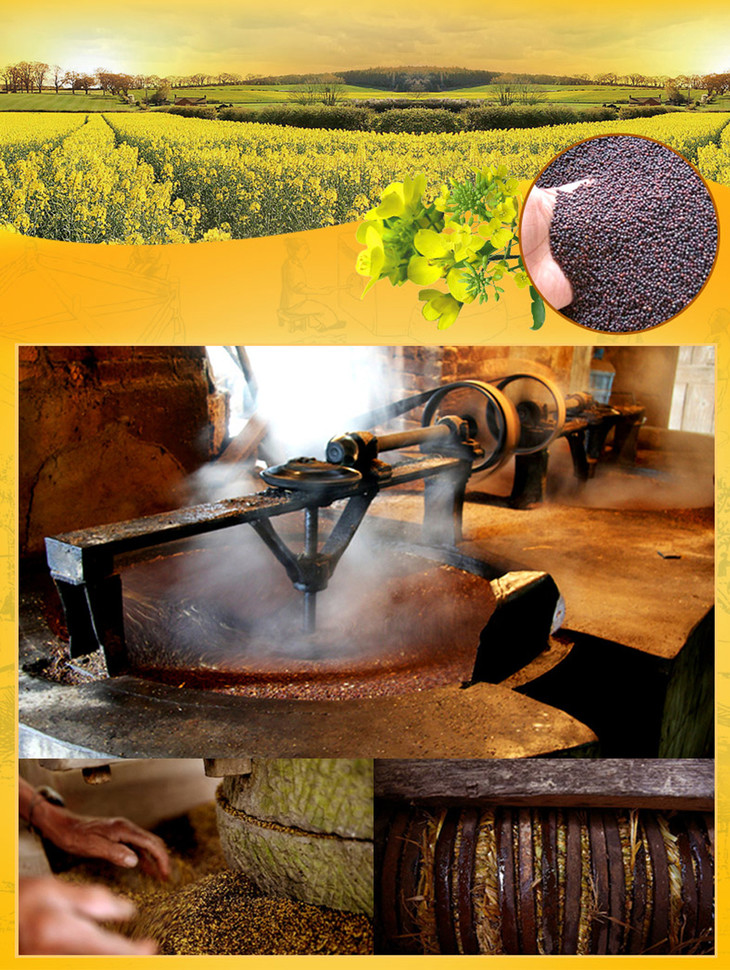 和政县伊尔萨低温冷榨菜籽油18l