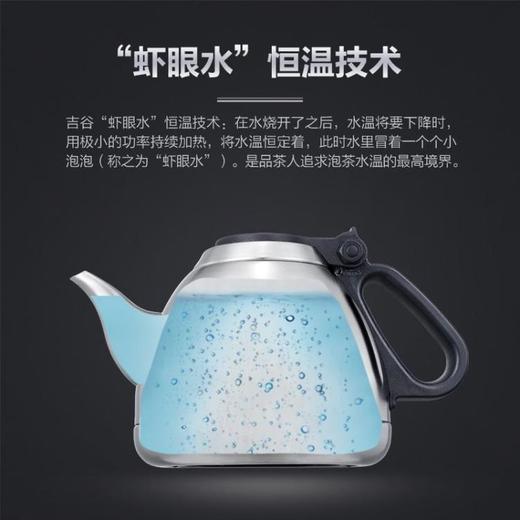 永利汇吉谷电器电热水壶全尚TC0207嵌入式304不锈钢电水壶恒温消毒抽水 商品图2